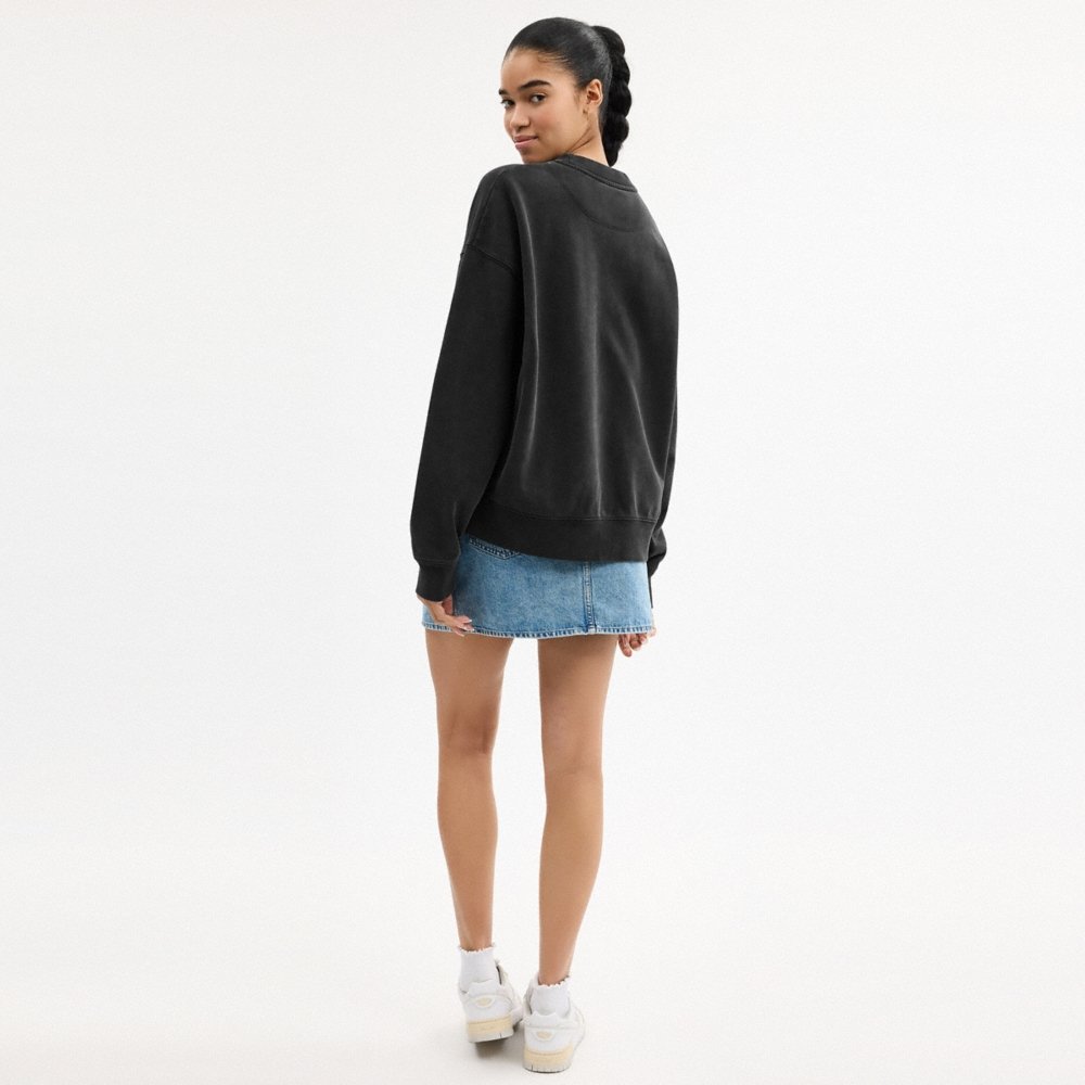 Coach Horse And Carriage Sweatshirt - Preorder