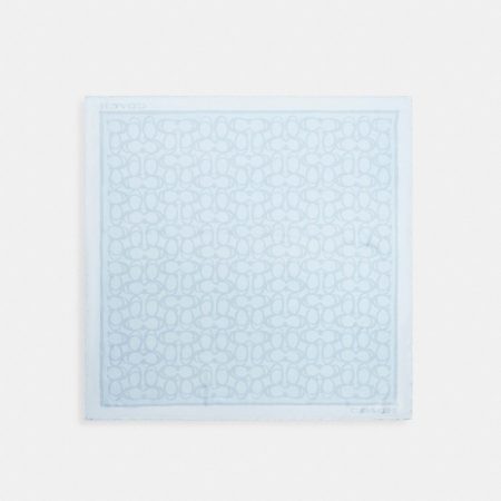 Coach Outlet Jumbo Signature Silk Square Scarf - Preorder — Light Blue