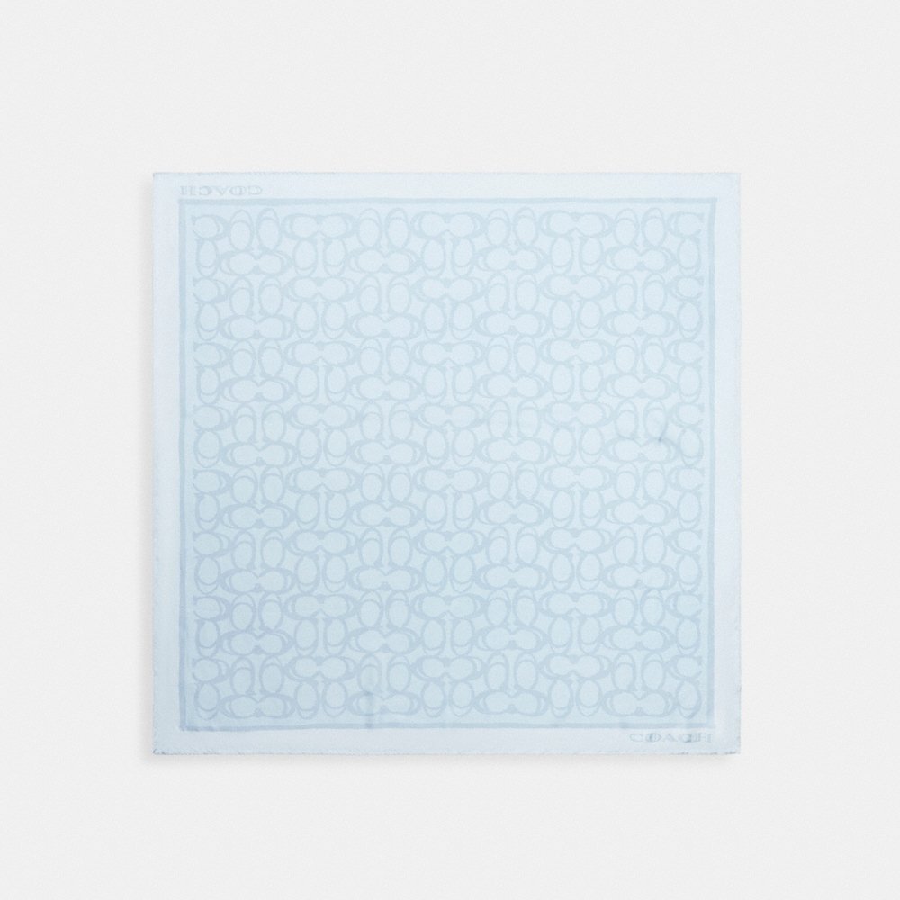 Coach Outlet Jumbo Signature Silk Square Scarf - Preorder