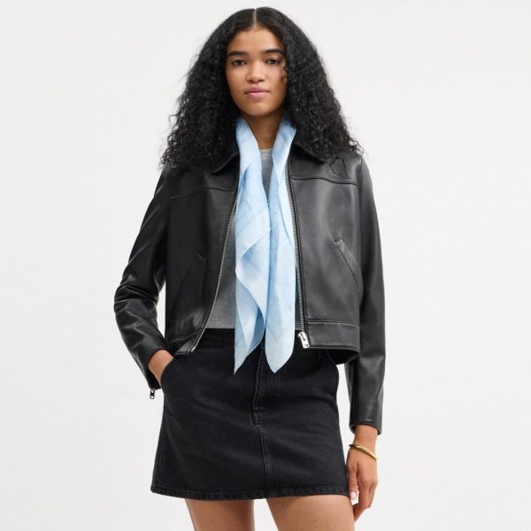 Coach Outlet Jumbo Signature Silk Square Scarf - Preorder