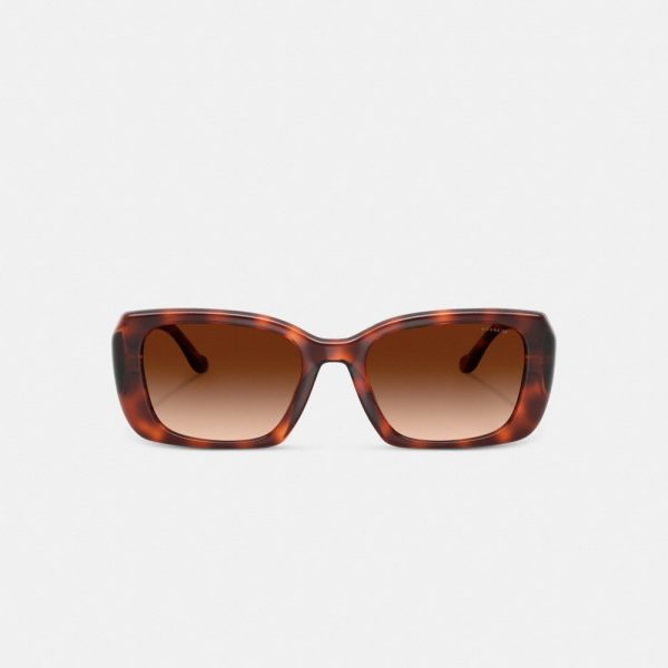 Coach Maxi Sculpted C Oversized Rectangle Sunglasses - Preorder