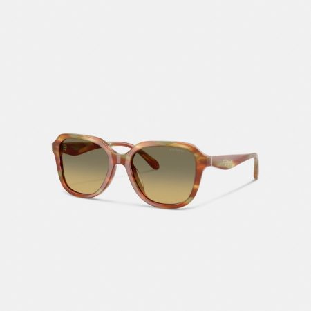 Coach Oval Square Sunglasses - Preorder — Bark