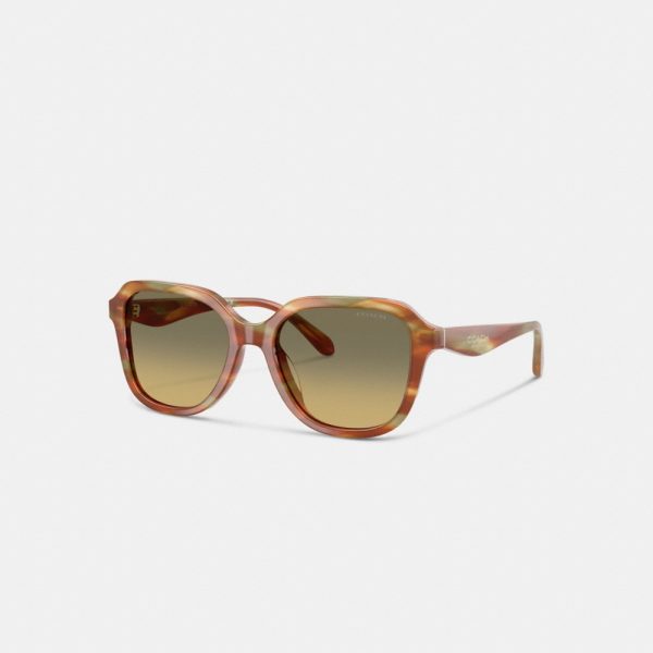 Coach Oval Square Sunglasses - Preorder