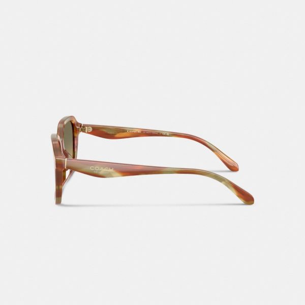 Coach Oval Square Sunglasses - Preorder