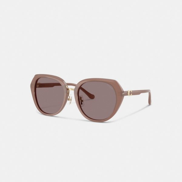 Coach Maxi Sculpted C Oversized Round Sunglasses - Preorder