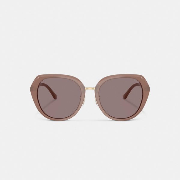 Coach Maxi Sculpted C Oversized Round Sunglasses - Preorder