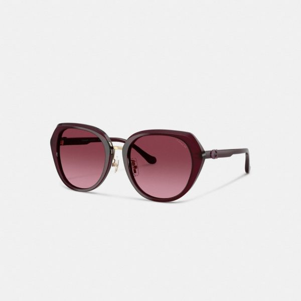 Coach Maxi Sculpted C Oversized Round Sunglasses - Preorder