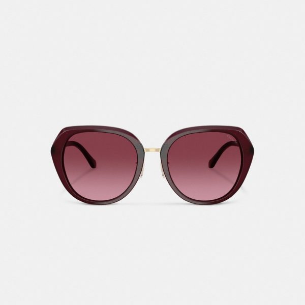 Coach Maxi Sculpted C Oversized Round Sunglasses - Preorder