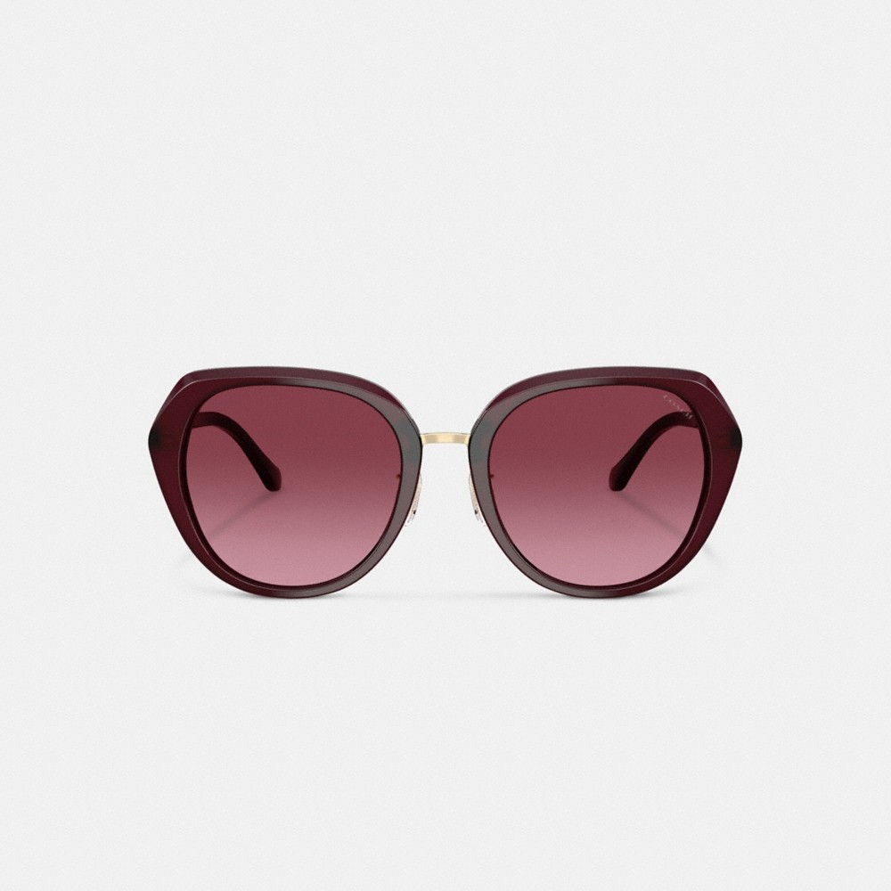 Coach Maxi Sculpted C Oversized Round Sunglasses - Preorder