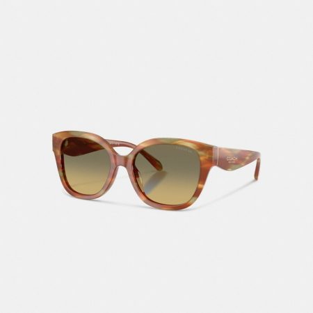 Coach Square Sunglasses - Preorder — Bark