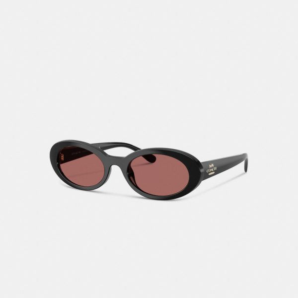 Coach Outlet Narrow Oval Sunglasses - Preorder