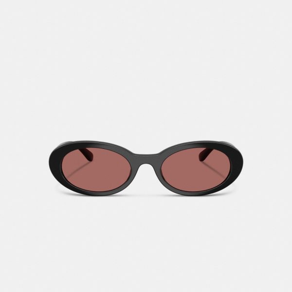 Coach Outlet Narrow Oval Sunglasses - Preorder