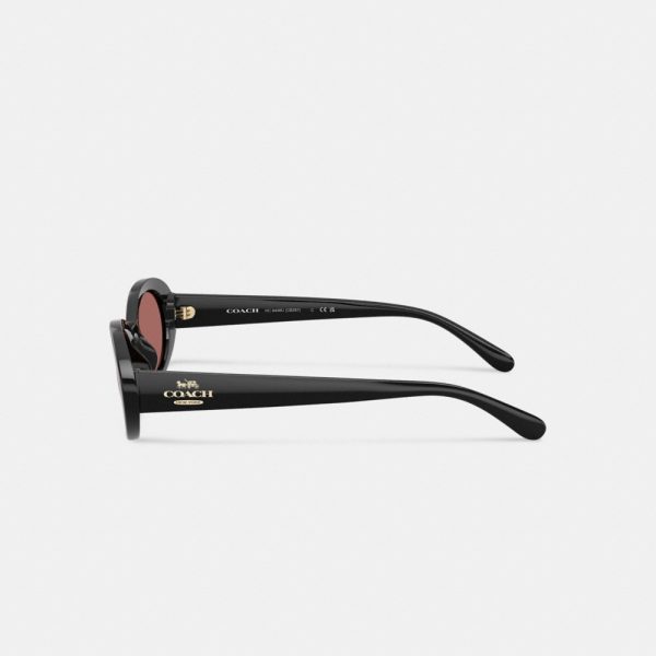 Coach Outlet Narrow Oval Sunglasses - Preorder