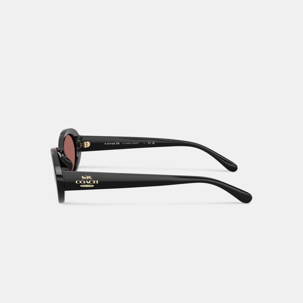 Coach Outlet Narrow Oval Sunglasses - Preorder