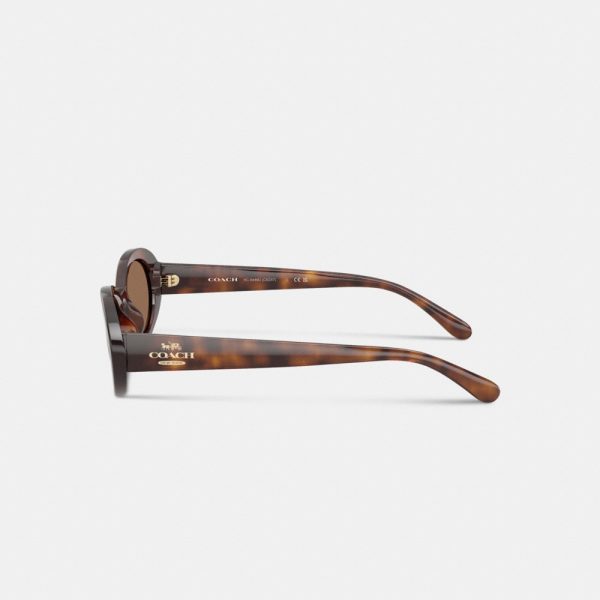 Coach Outlet Narrow Oval Sunglasses - Preorder