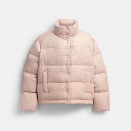 Coach Outlet Signature Down Jacket - Preorder — Quartz