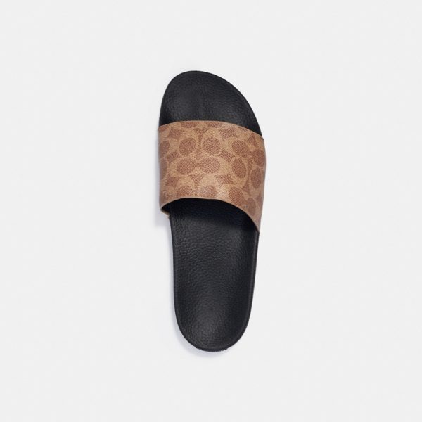Coach Pool Slide In Signature Canvas - Preorder