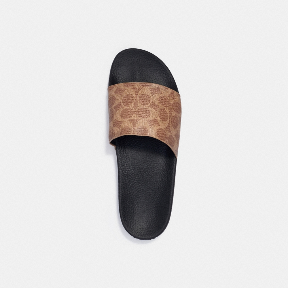 Coach Pool Slide In Signature Canvas - Preorder