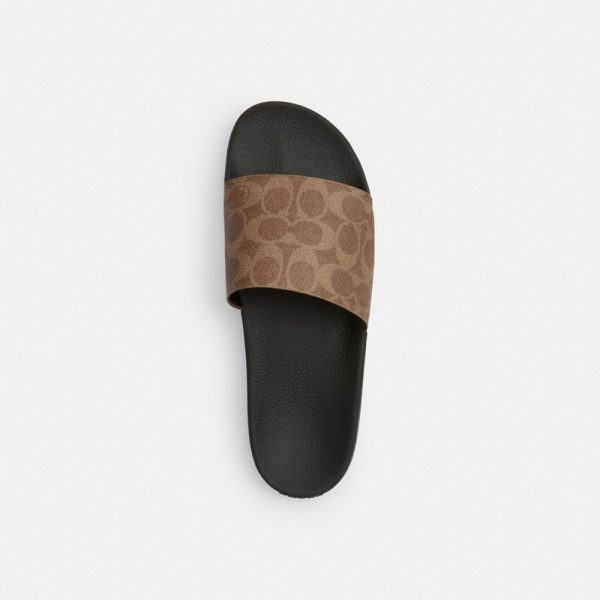 Coach Outlet Slide In Signature Canvas - Preorder