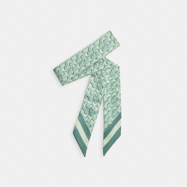 Coach Outlet Signature Silk Skinny Scarf - Preorder