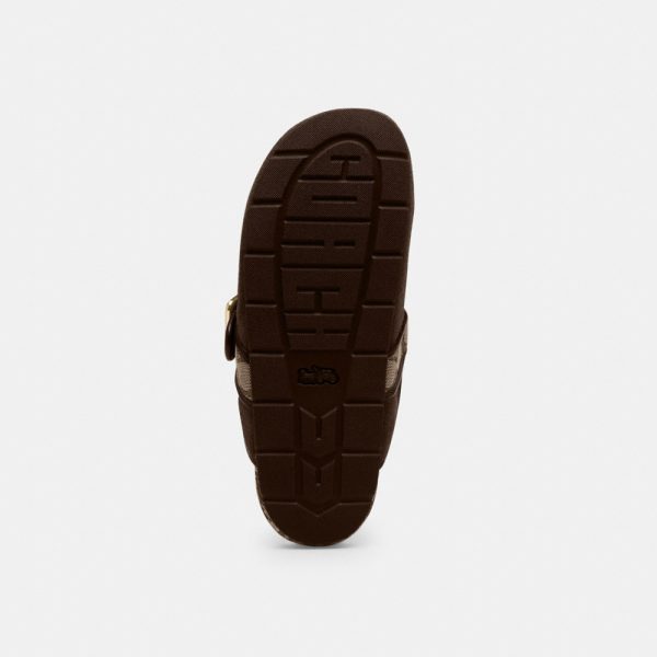 Coach Outlet Archival Buckle Clog - Preorder
