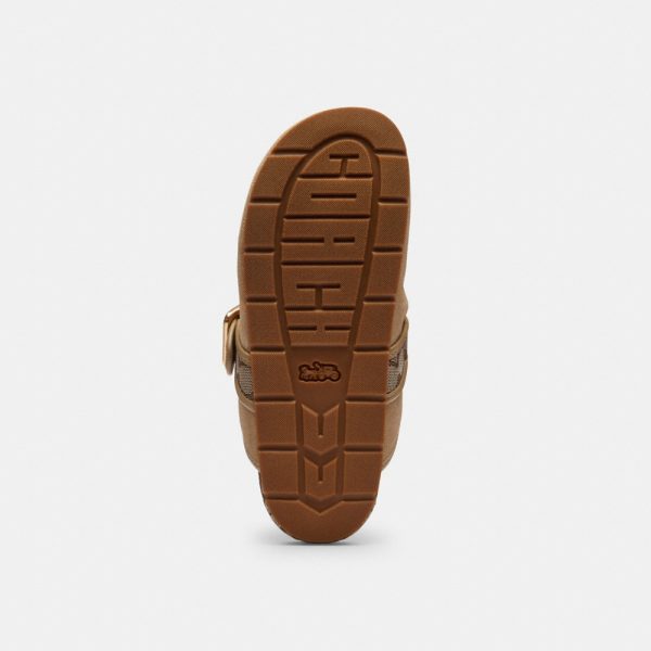 Coach Outlet Archival Buckle Clog - Preorder