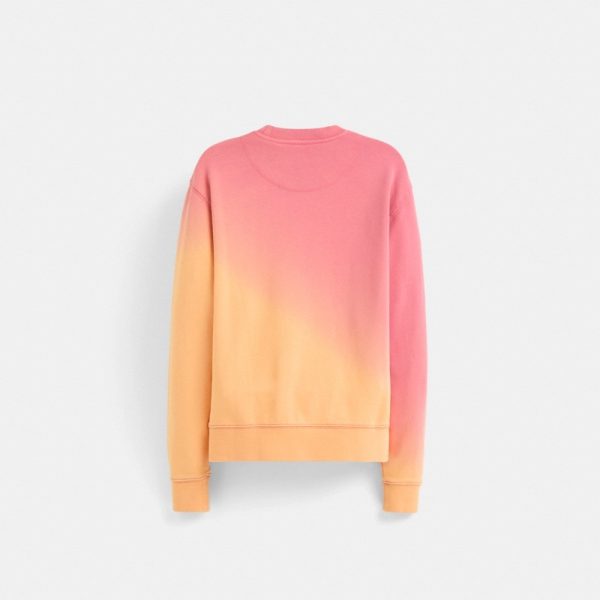 Coach Restored Ombré Horse And Carriage Crewneck - Preorder