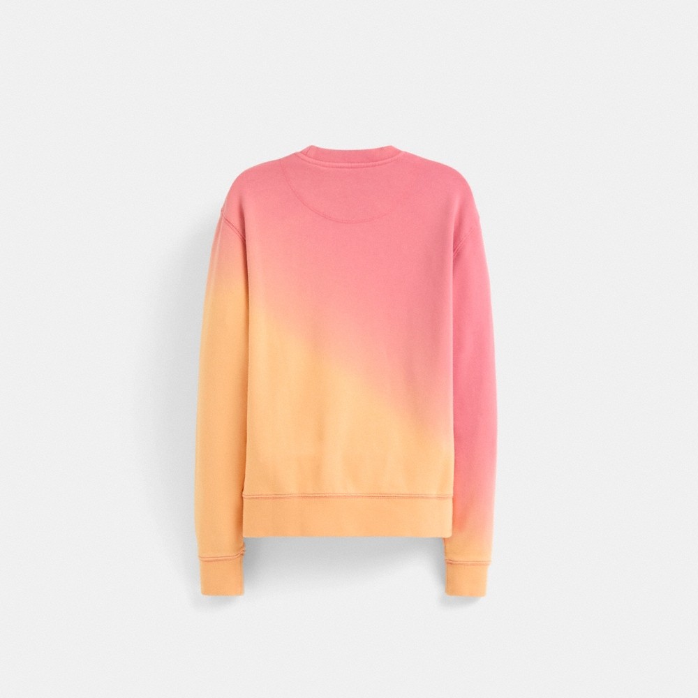 Coach Restored Ombré Horse And Carriage Crewneck - Preorder