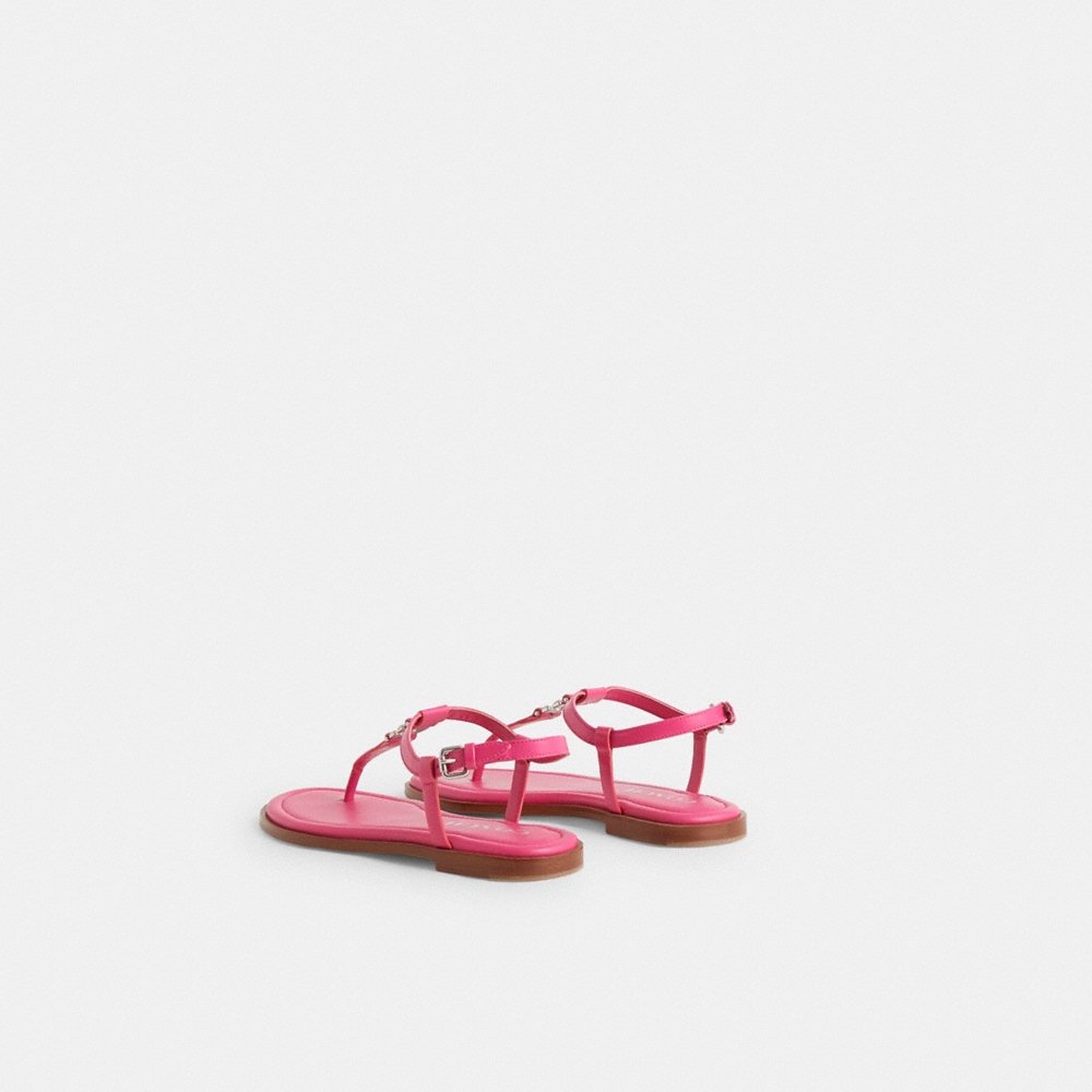 Coach Restored Jessica Sandal - Preorder