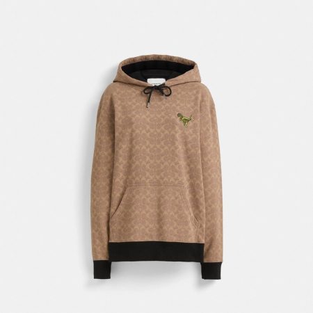 Coach Restored Signature Rexy Hoodie - Preorder — Khaki