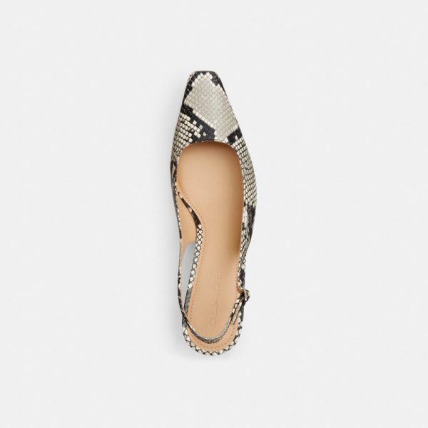 Coach Outlet Slingback Heel With Snake Print - Preorder