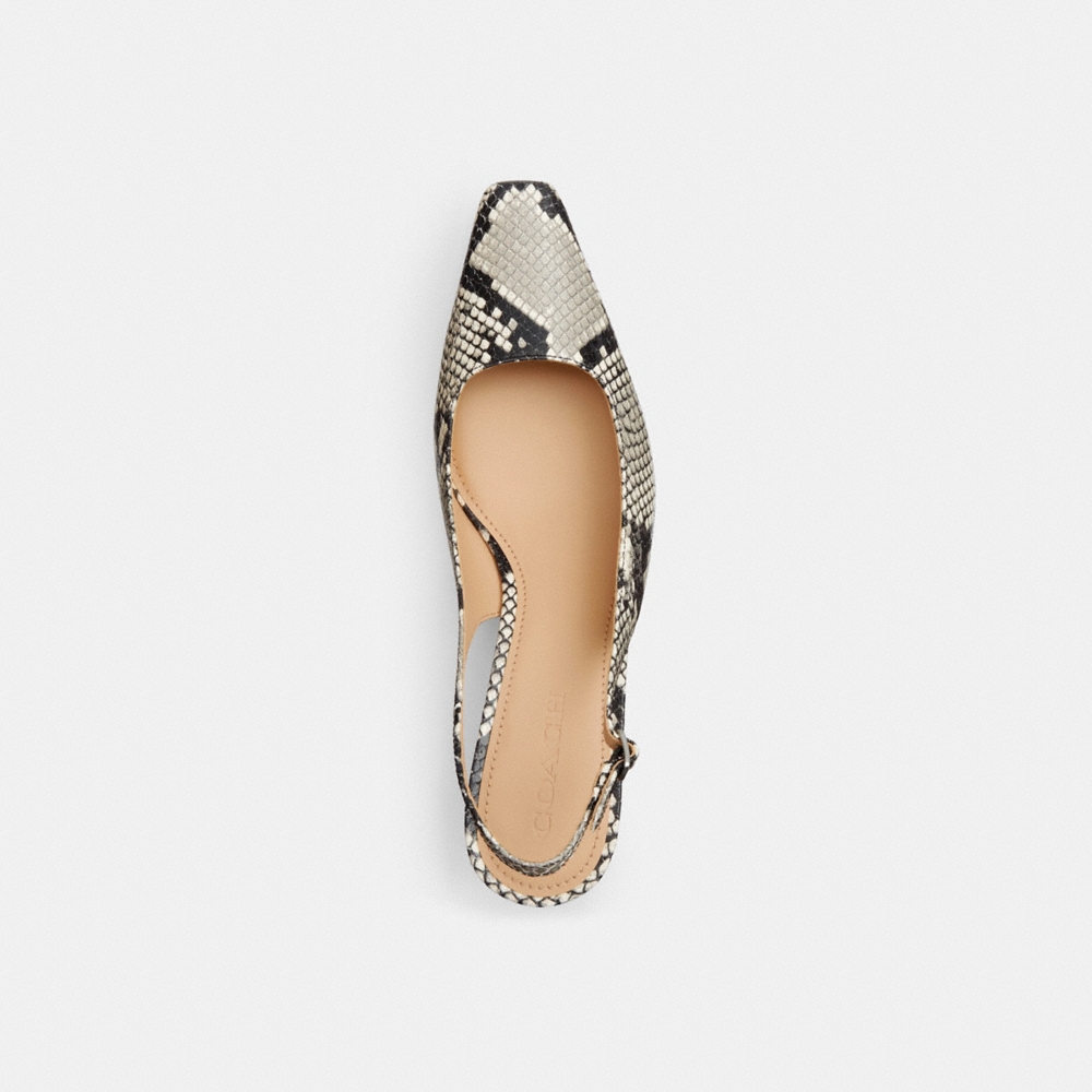 Coach Outlet Slingback Heel With Snake Print - Preorder