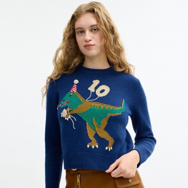Coach Outlet Rexy 10th Birthday Crewneck Sweater - Preorder