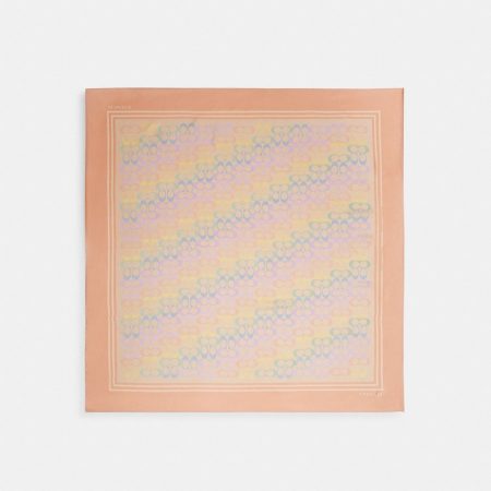 Coach Outlet Signature Rainbow Print Silk Square Scarf - Preorder — Multi