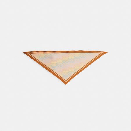 Coach Signature Rainbow Print Silk Triangle Scarf - Preorder — Multi