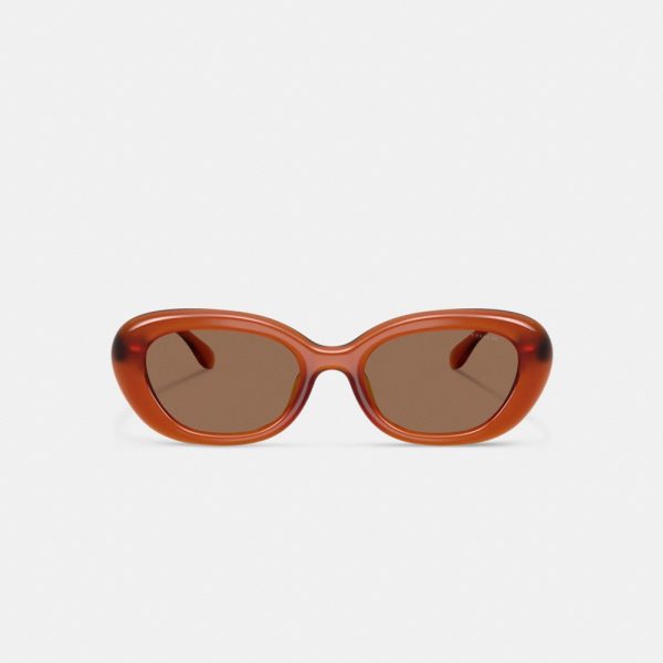 Coach C Hardware Round Sunglasses - Preorder