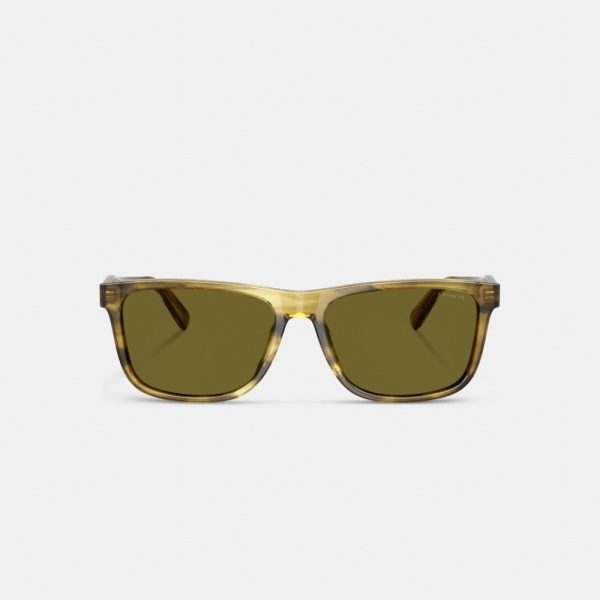 Coach Square Sunglasses - Preorder