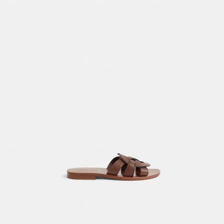 Walnut Brown
