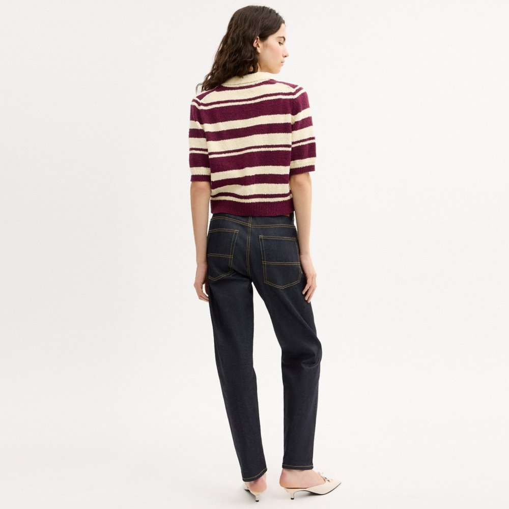 Coach Outlet Striped Knit Polo - Preorder