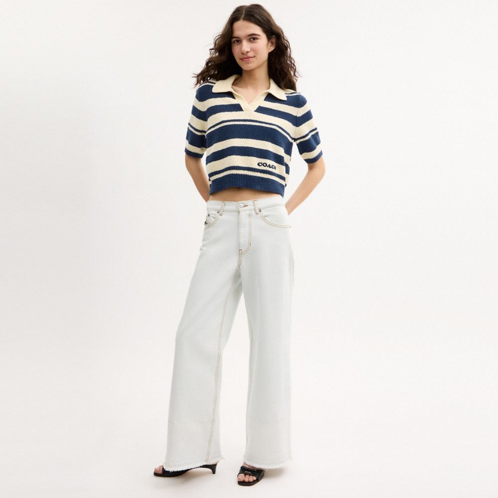 Coach Outlet Striped Knit Polo - Preorder