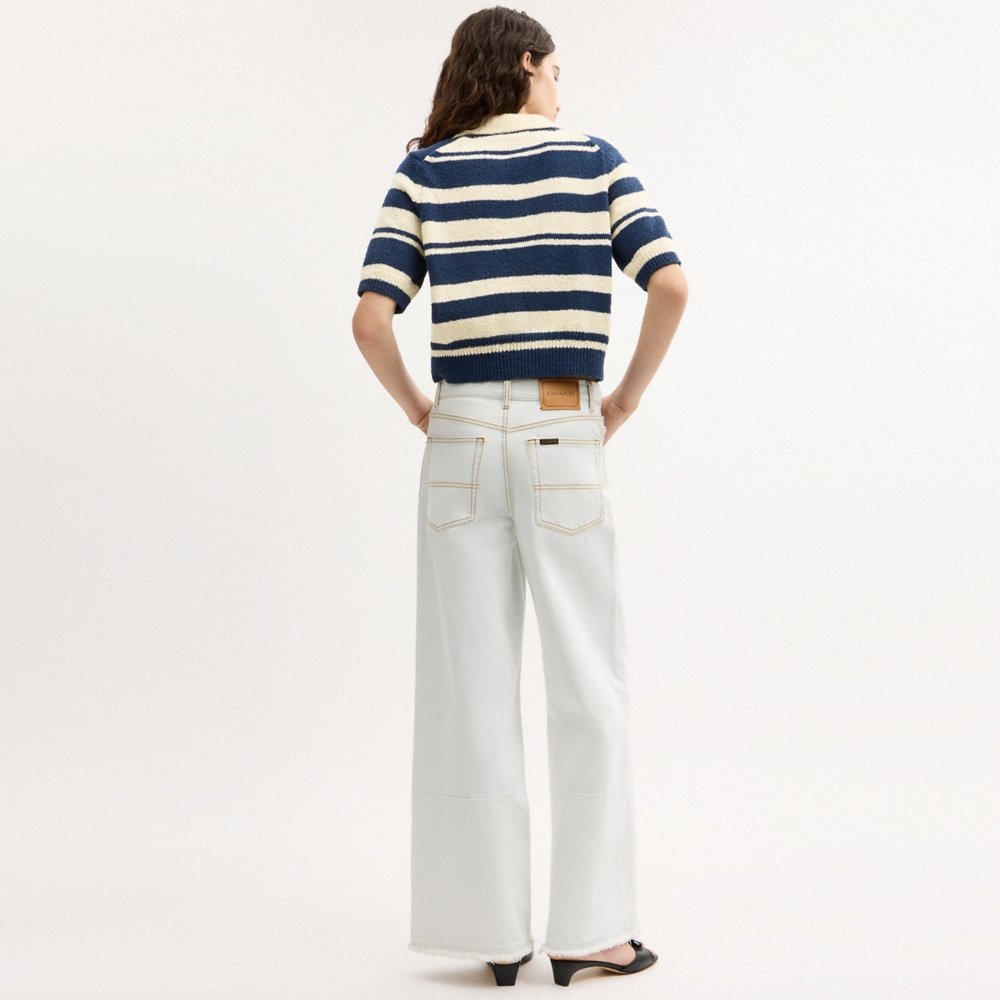 Coach Outlet Striped Knit Polo - Preorder