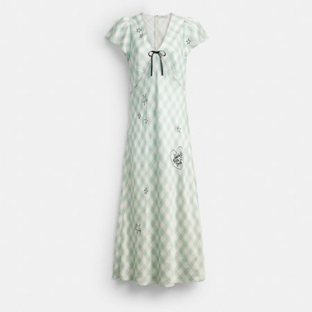 Coach Outlet Coach | Brain Dead Embroidered Gingham Dress - Preorder — Light Green
