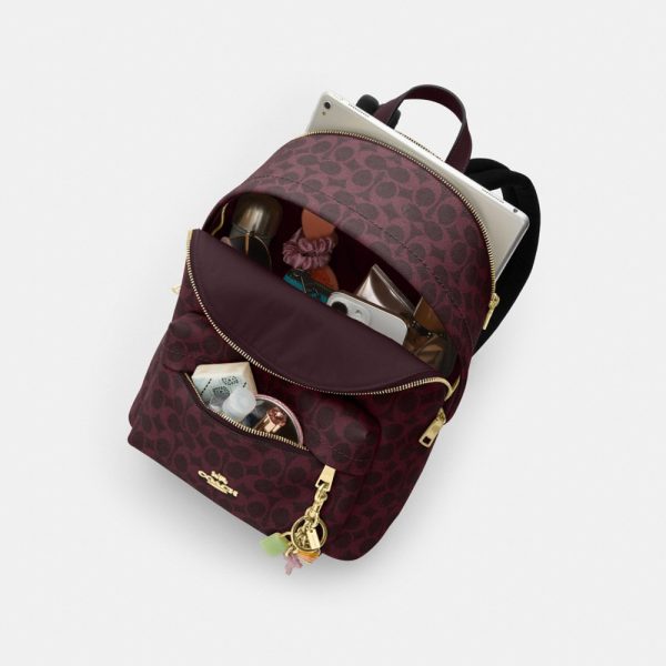 Coach Outlet Taylor Small Backpack In Signature Canvas - Preorder