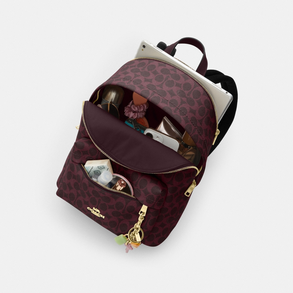 Coach Outlet Taylor Small Backpack In Signature Canvas - Preorder