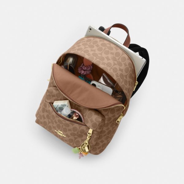Coach Outlet Taylor Small Backpack In Signature Canvas - Preorder