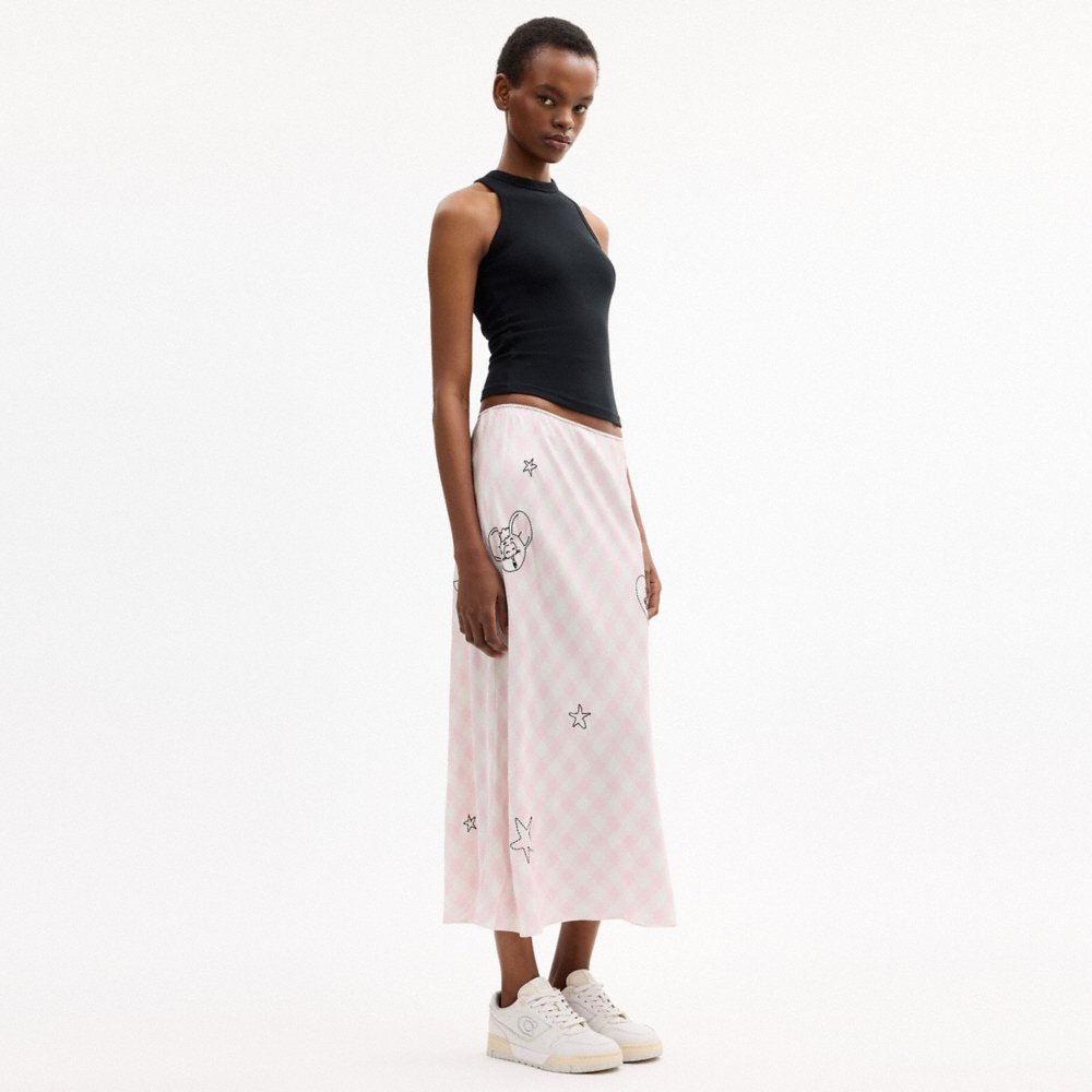 Coach Outlet Coach | Brain Dead Embroidered Slip Skirt - Preorder