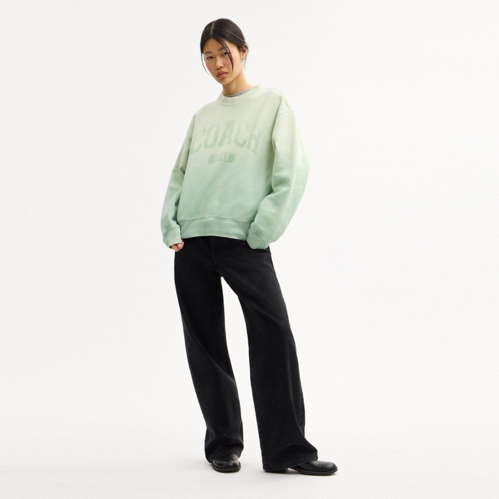 Coach Outlet Ombré Sporty Crewneck Sweatshirt In Organic Cotton - Preorder