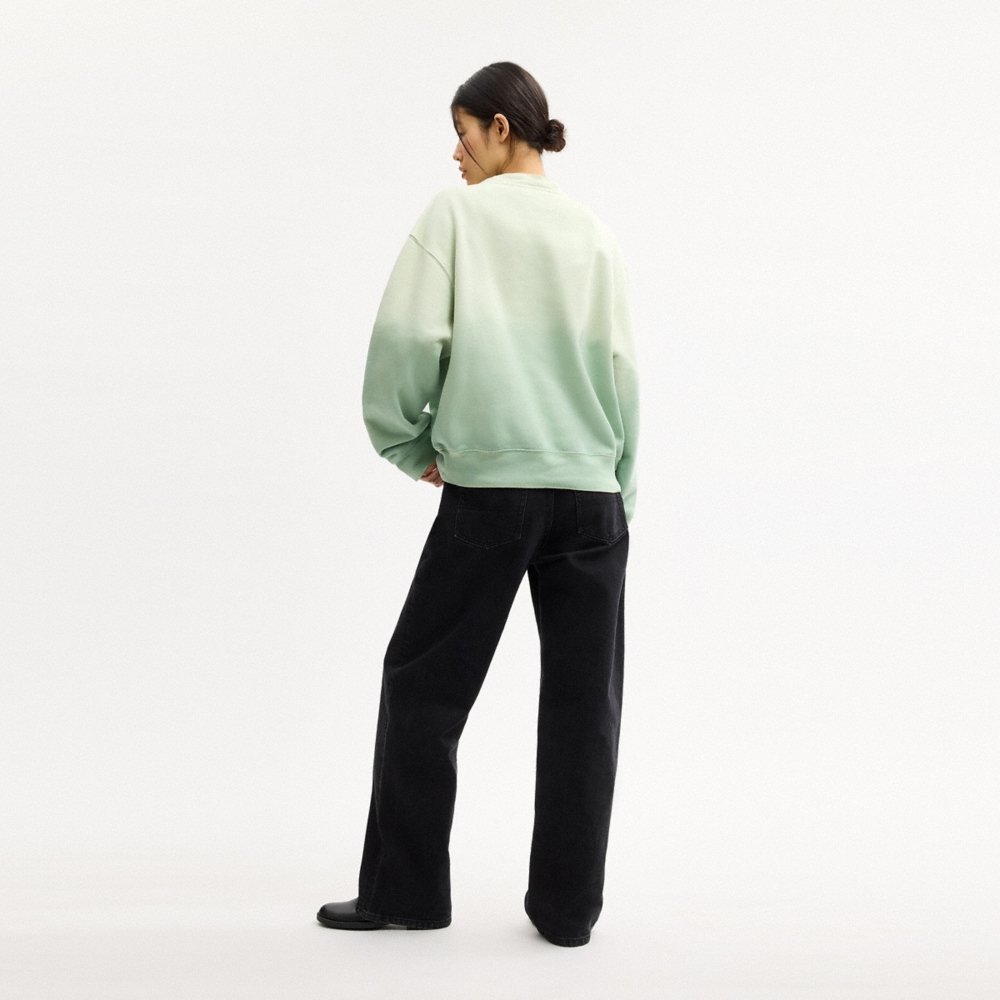 Coach Outlet Ombré Sporty Crewneck Sweatshirt In Organic Cotton - Preorder