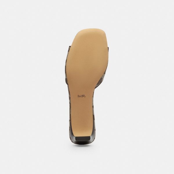 Coach Outlet Bow Kitten Heel Sandal In Signature Jacquard - Preorder