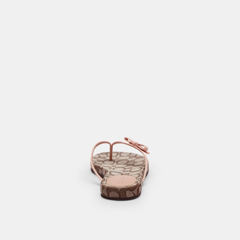 Coach Outlet Bow Flip Flop In Signature Jacquard - Preorder